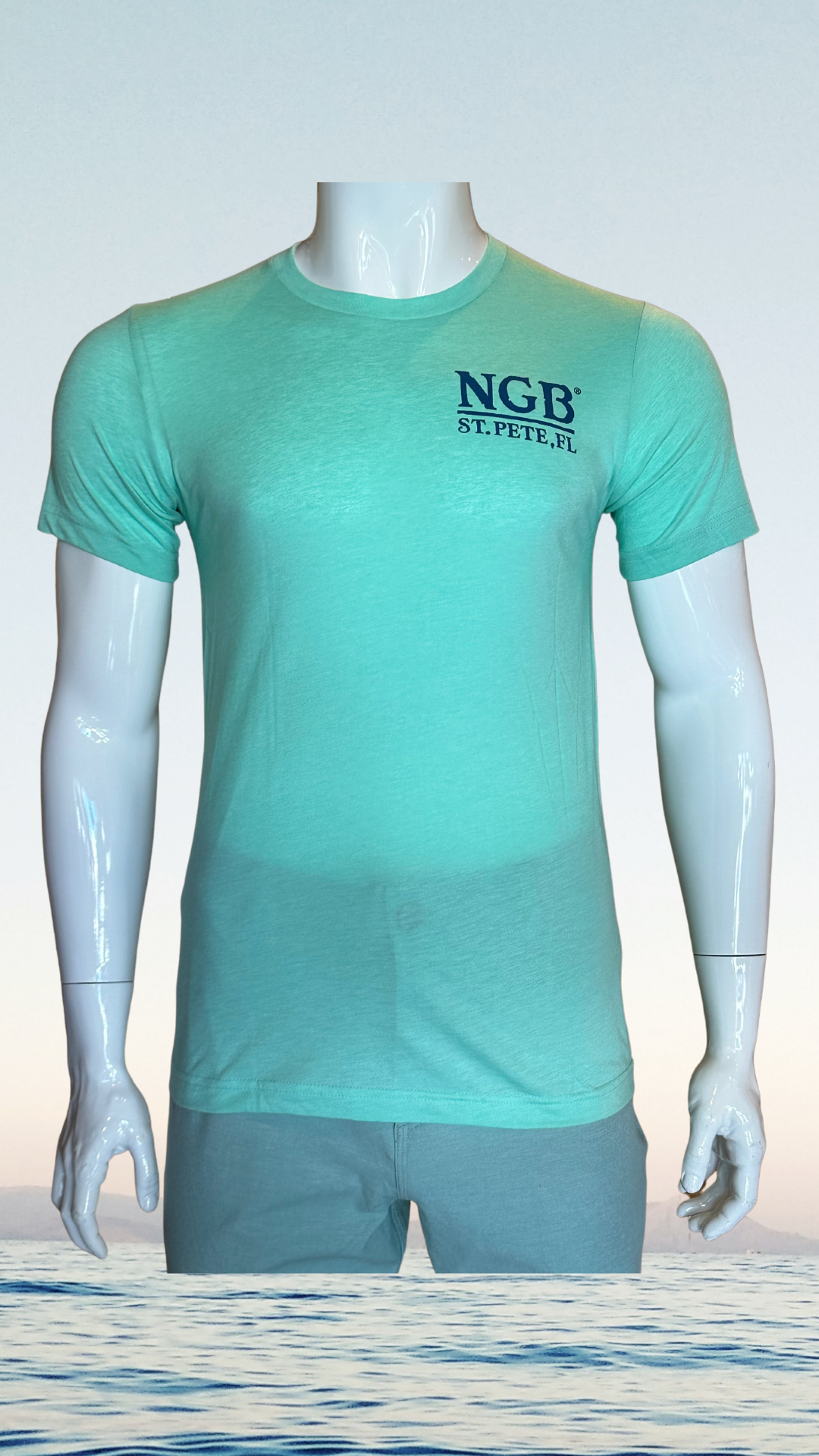Short Sleeve T-Shirt - Mint - Blue St. Pete Pelican