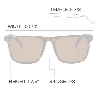 Dax Sunglasses - Black/Smoke