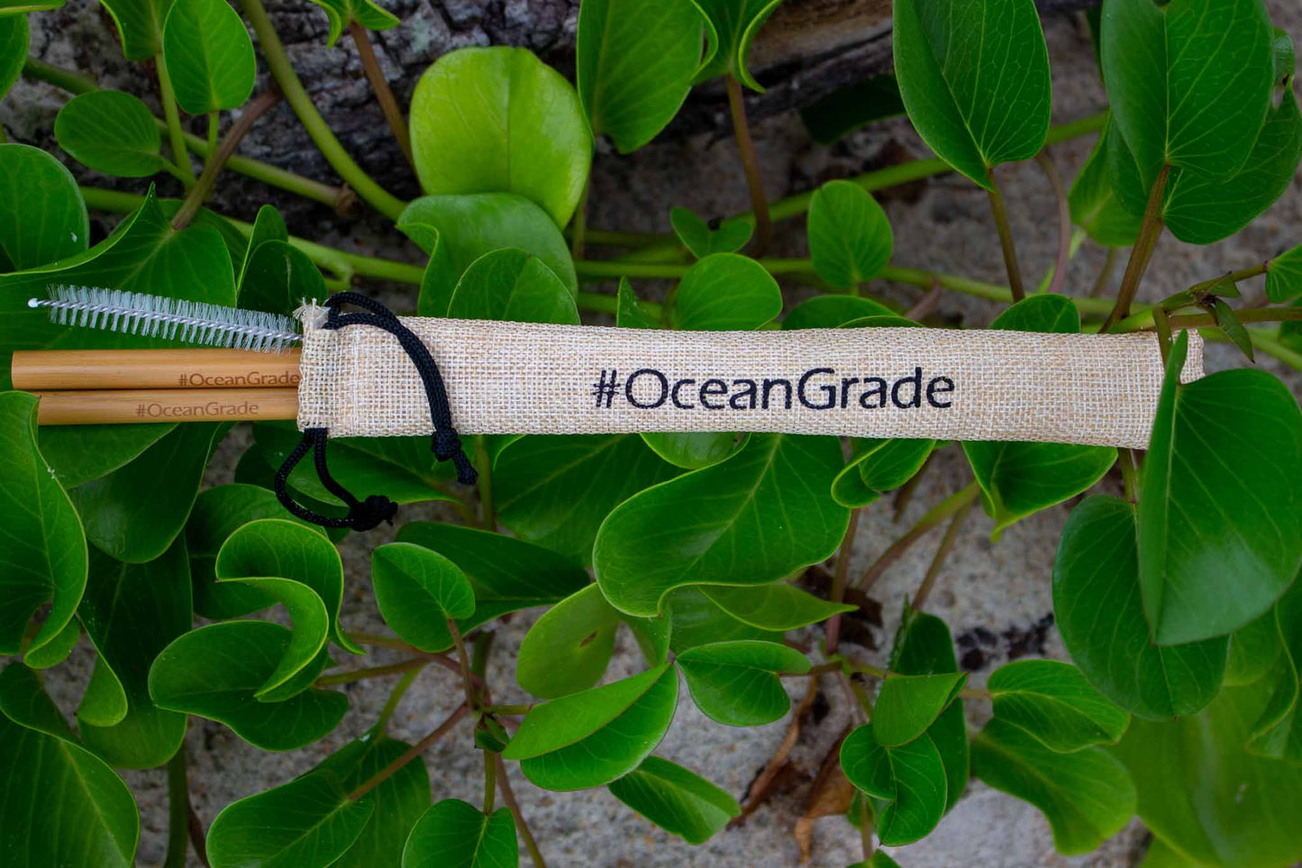 Reusable Bamboo Straw Kit
