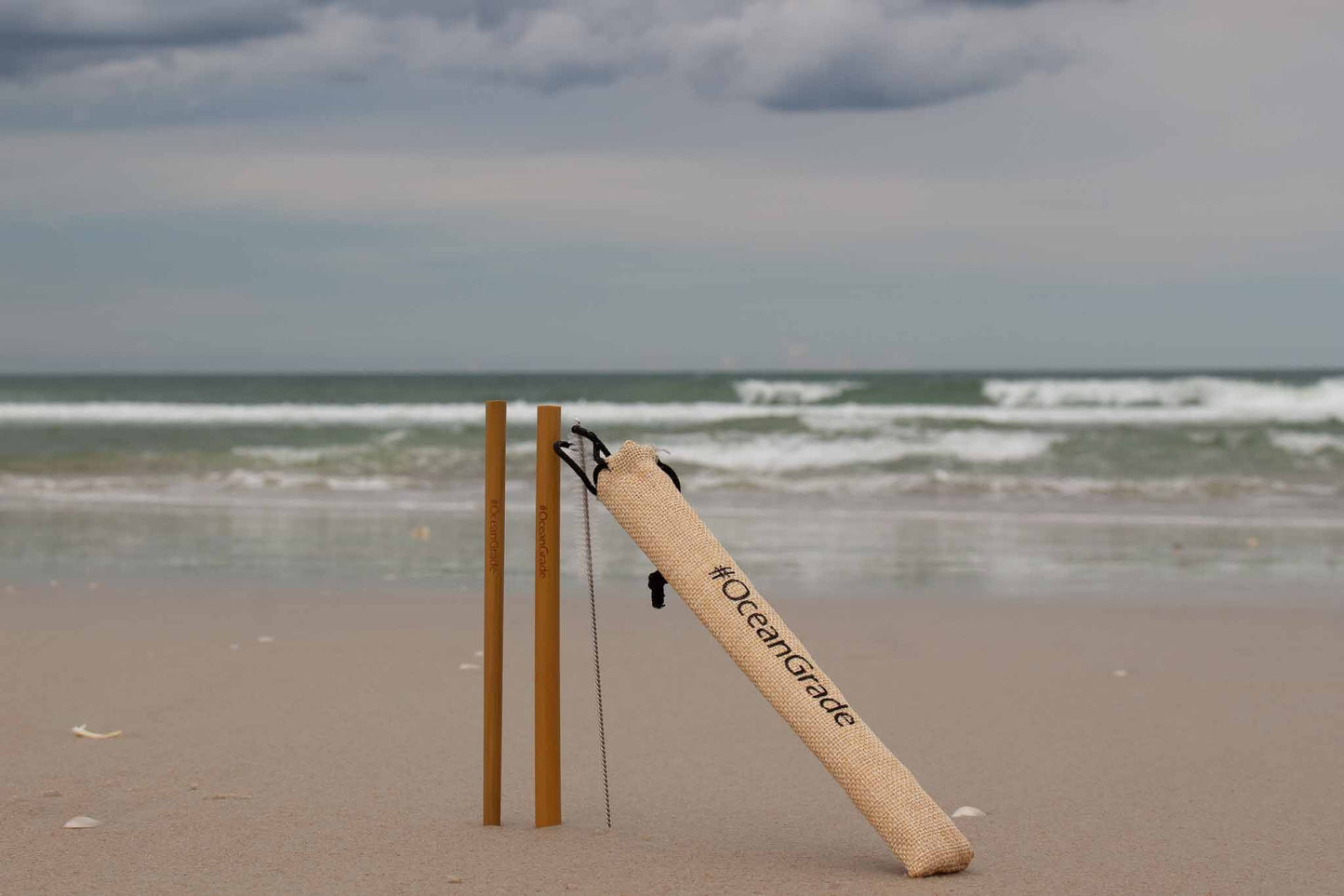 Reusable Bamboo Straw Kit