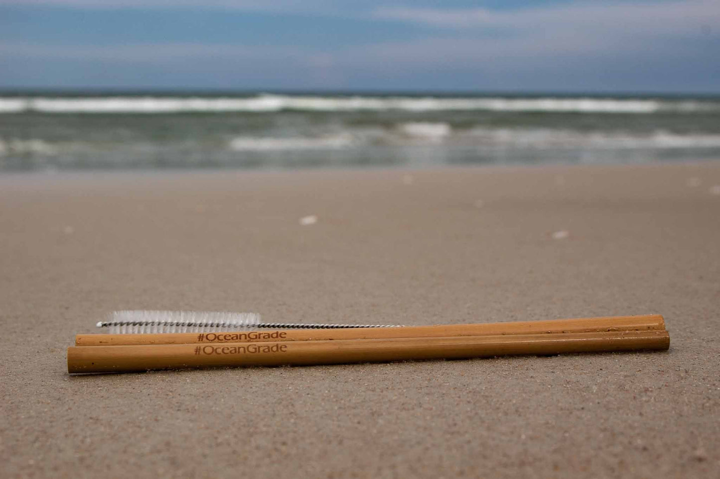Reusable Bamboo Straw Kit