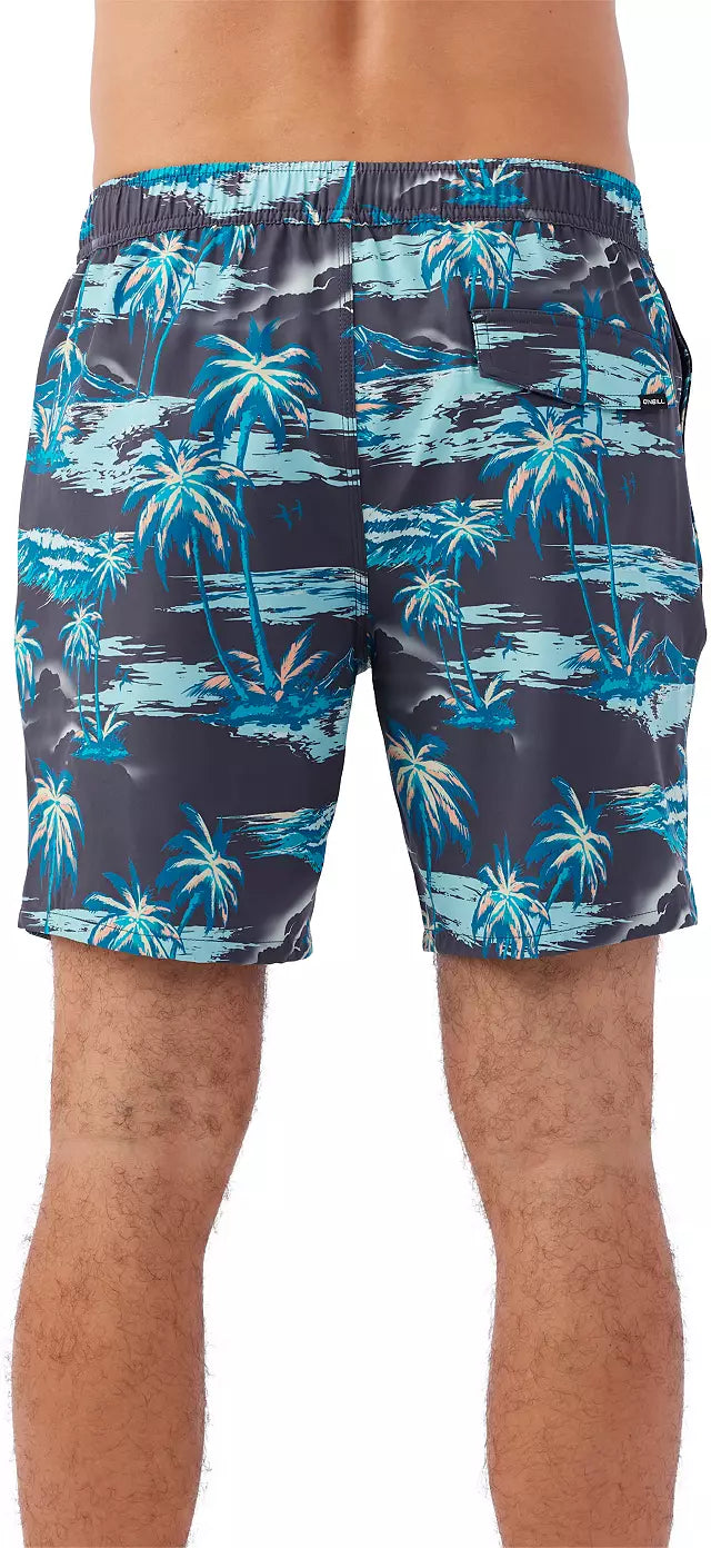 Bungalow Volley 17" Swim Shorts - Graphite