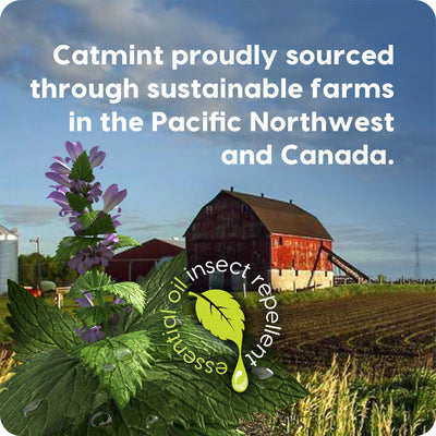 Plant-Based Insect Repellent - 3.4 oz