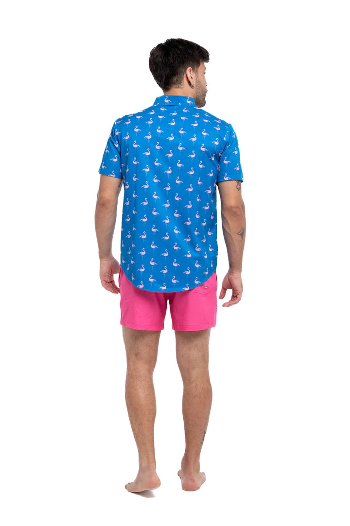 Performance Short Sleeve Button-Down Shirt - Crazy Flamingo