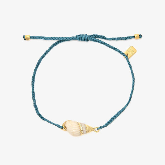 Charm Bracelet - Dainty Mop Seashell - Gold - Winterfresh