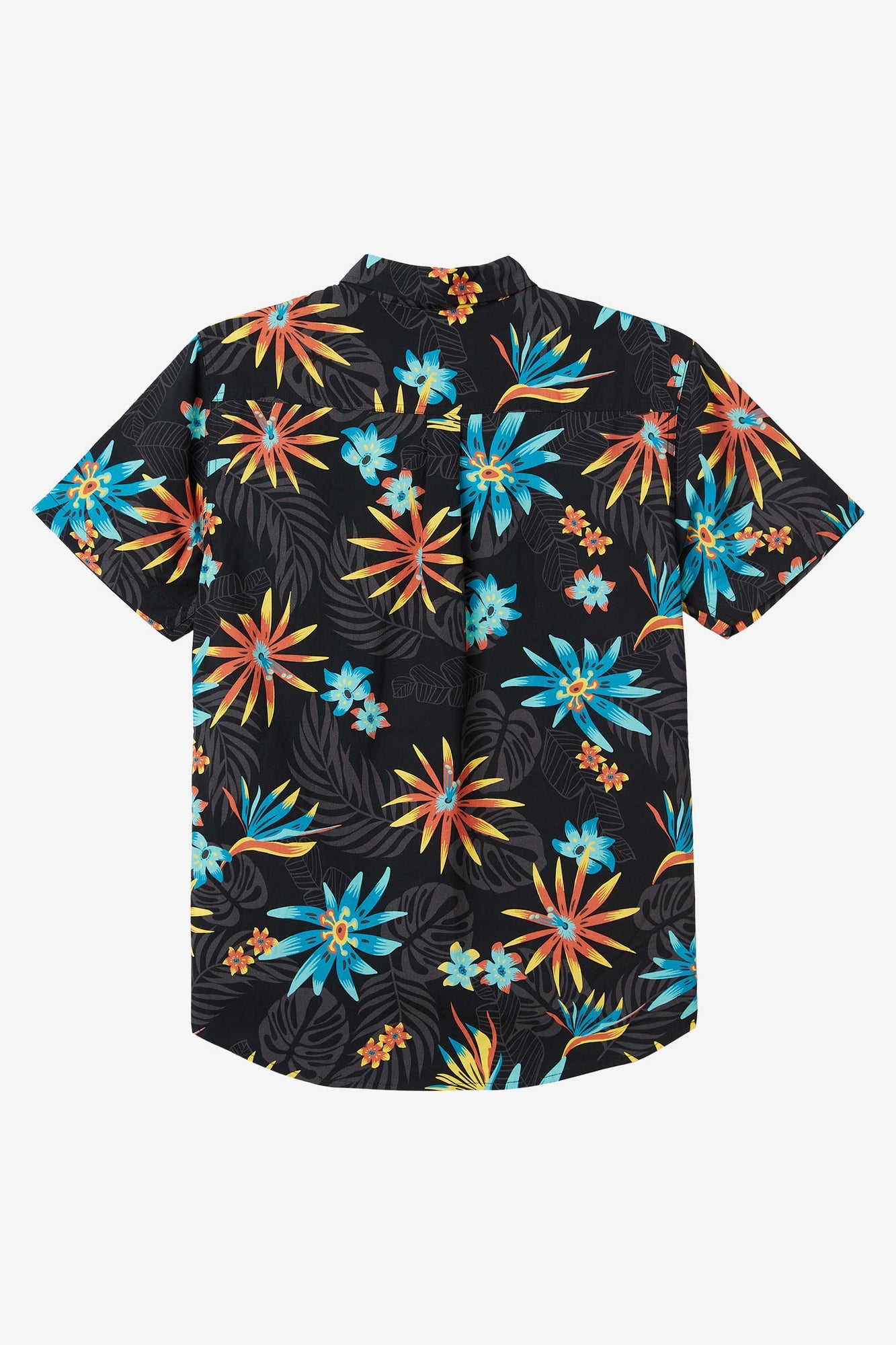 Oasis Eco Modern Short Sleeve Button-Down Shirt - Black