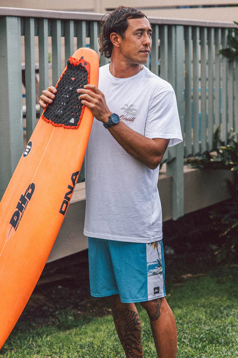 Hyperfreak Mysto Side Panel 19" Board Shorts - Blue Fade