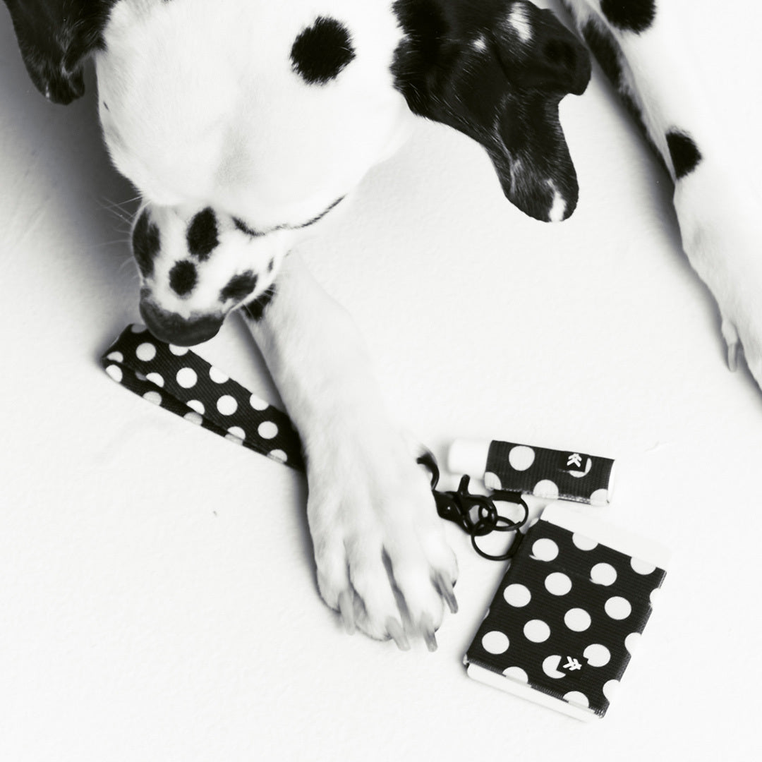 Elastic Wallet - Polka Dot