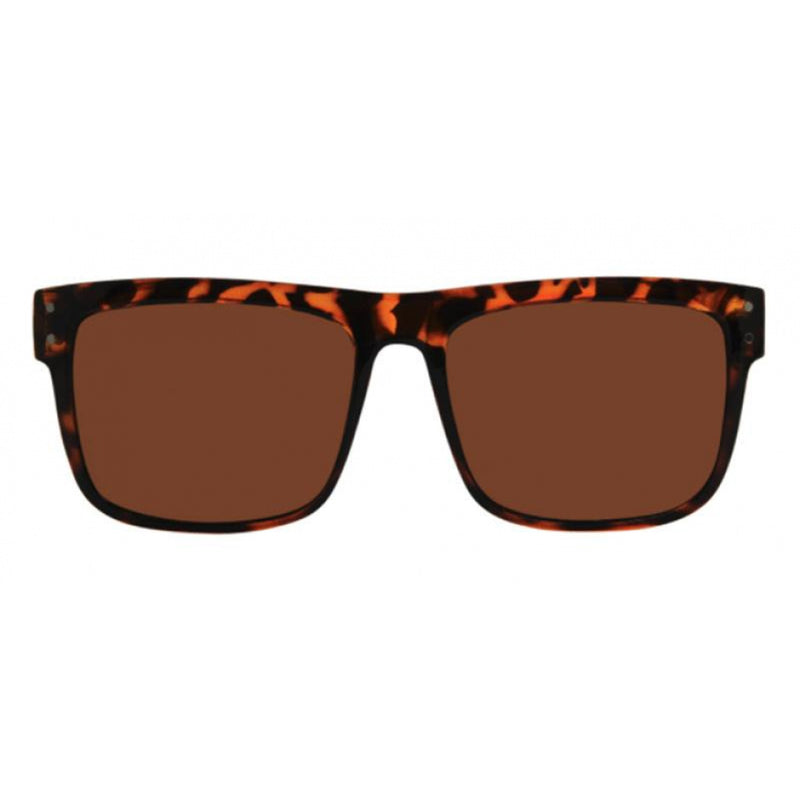 V-Lander Sunglasses - Tortoise/Brown